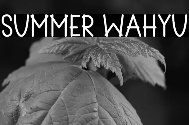 Summer Wahyu Font examples