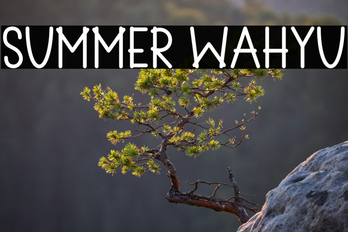 Summer Wahyu Example 3