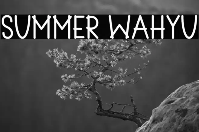 Summer Wahyu Font examples