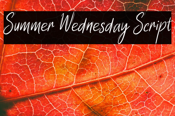 Summer Wednesday Script Example 2
