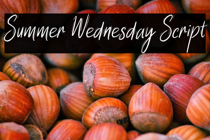 Summer Wednesday Script Example 3
