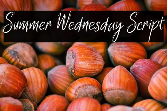 Summer Wednesday Script Example 3
