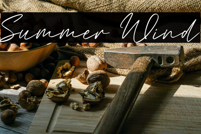 Summer Wind Example 1