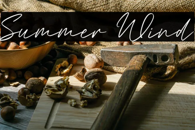 Summer Wind Example 1