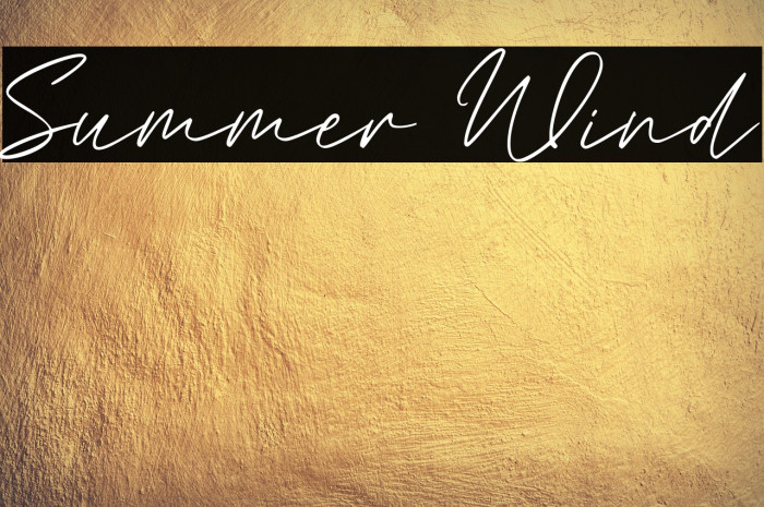 Summer Wind Example 3