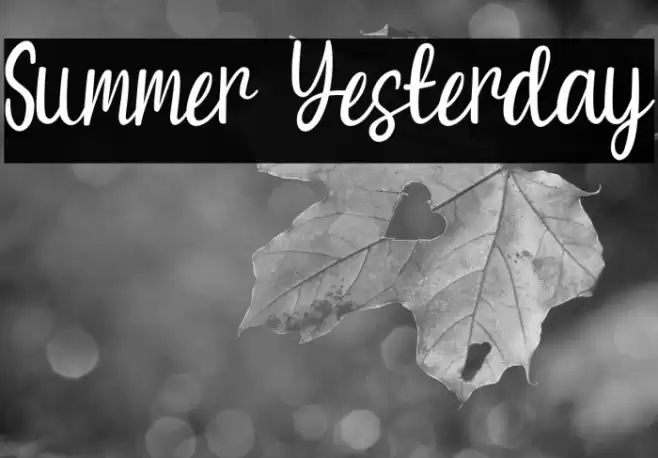 Summer Yesterday Font examples