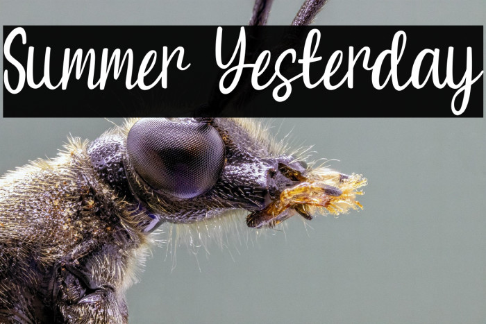 Summer Yesterday Example 2