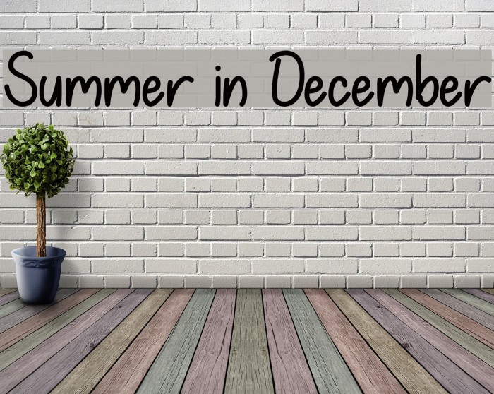 Summer in December Font examples