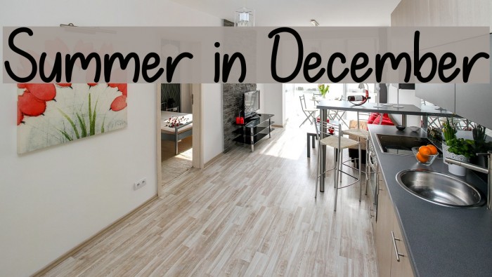 Summer in December Font examples