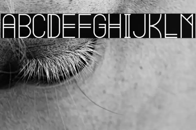 Summer Font examples