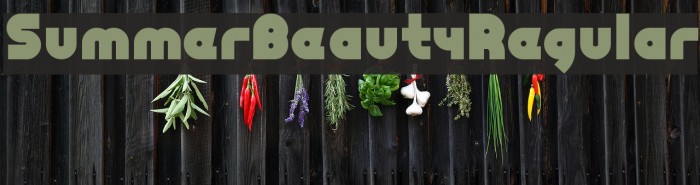 SummerBeautyRegular Font examples