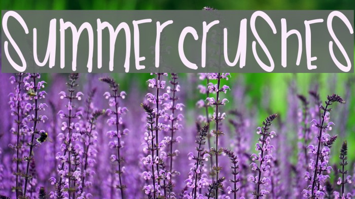 SummerCrushes Font examples