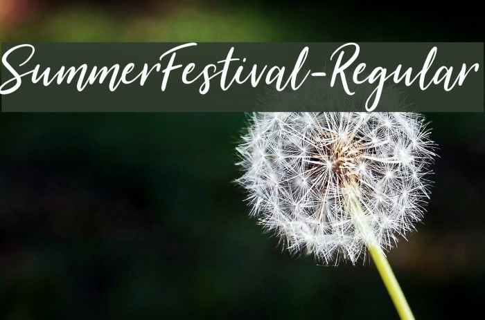 SummerFestival-Regular Font examples