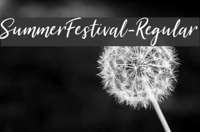 SummerFestival-Regular フォント examples