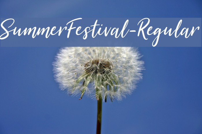 SummerFestival-Regular Font examples