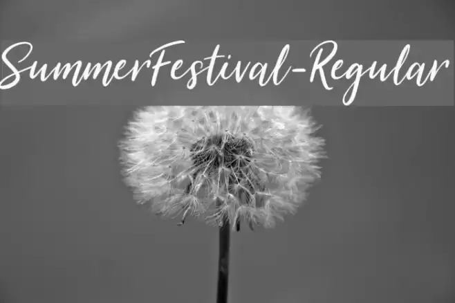 SummerFestival-Regular フォント examples