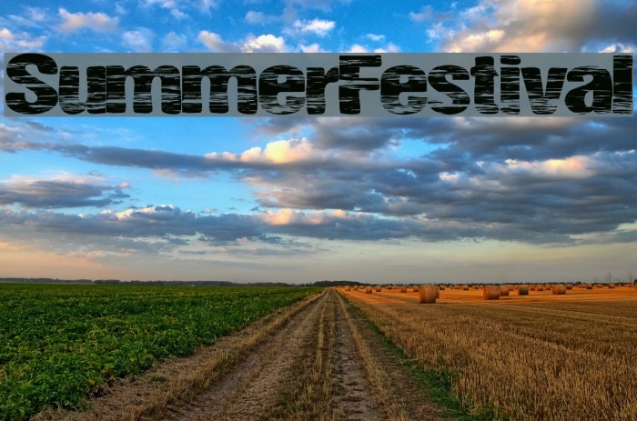 SummerFestival Font examples