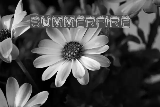 SummerFire Font examples