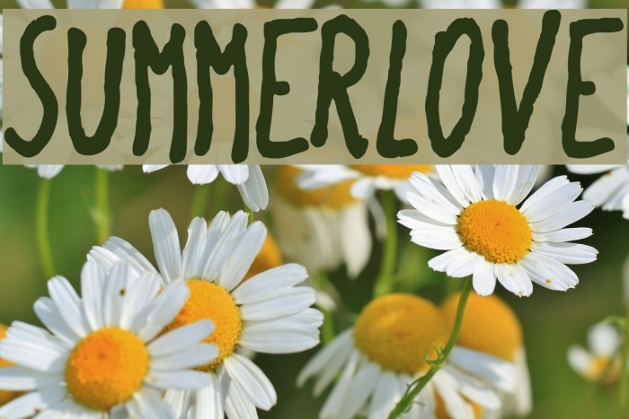 SummerLove Шрифта examples