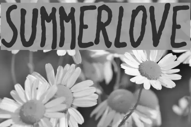 SummerLove Font examples