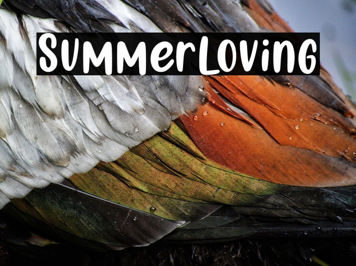 SummerLoving Example 1