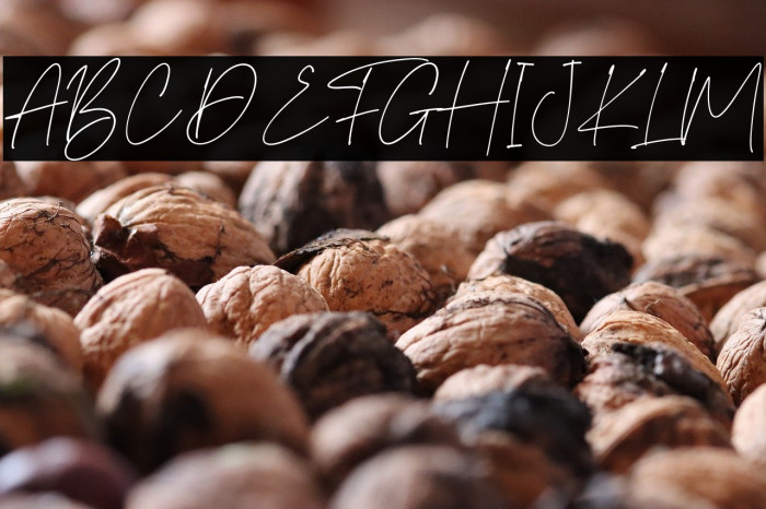 SummerPisces Example 1