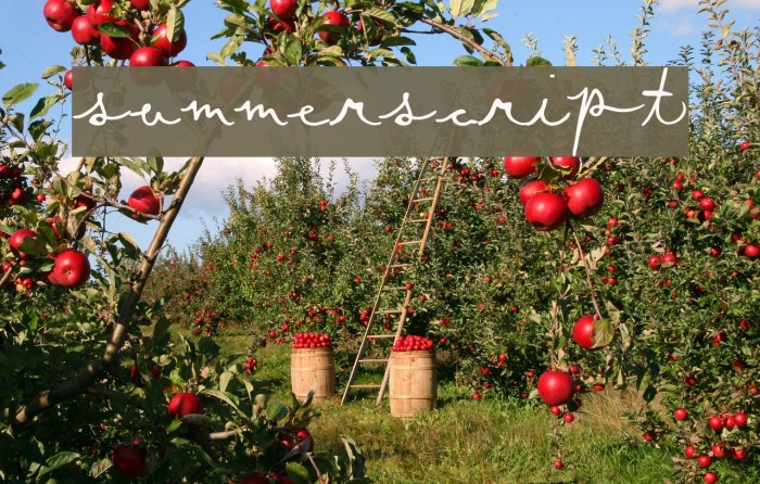 SummerScript Font examples
