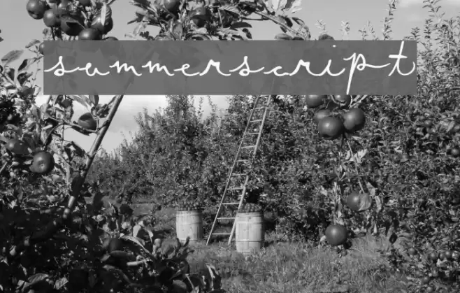 SummerScript Font examples
