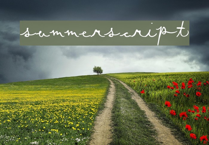 SummerScript Font examples