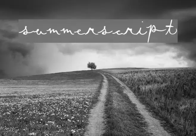 SummerScript Font examples