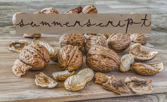 SummerScript Font examples