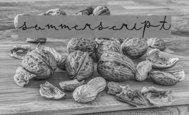SummerScript Font examples