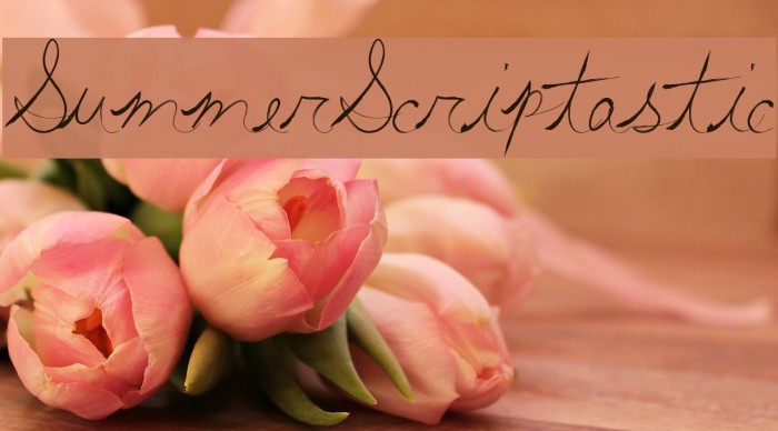 SummerScriptastic Fonte examples