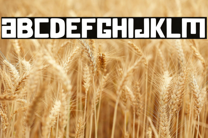 SummerSquare-Regular Example 2