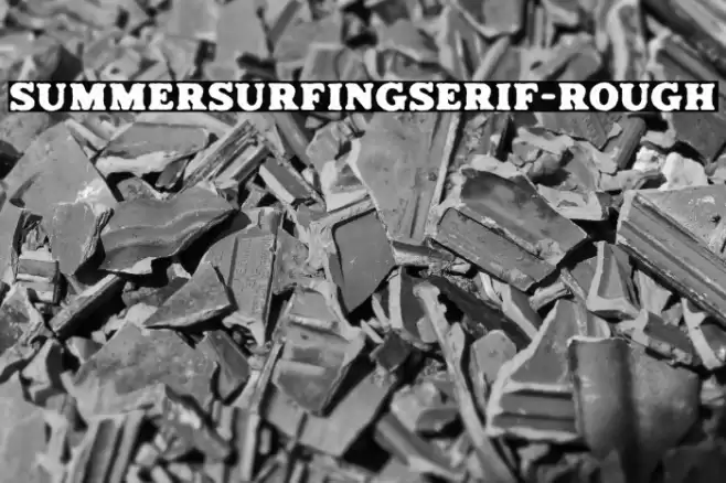 SummerSurfingSerif-Rough Caratteri examples