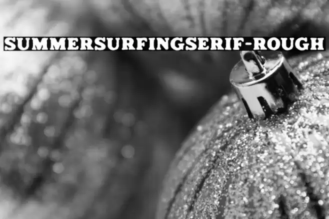 SummerSurfingSerif-Rough Caratteri examples