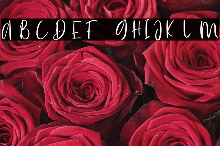 SummerVibes Example 3