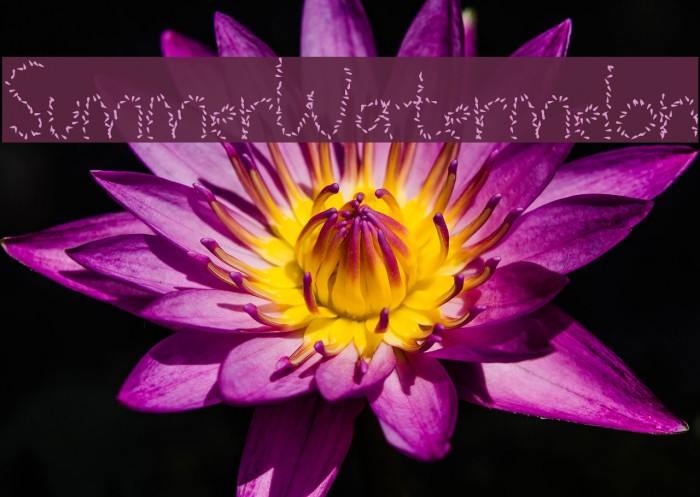 SummerWatermelon Font examples