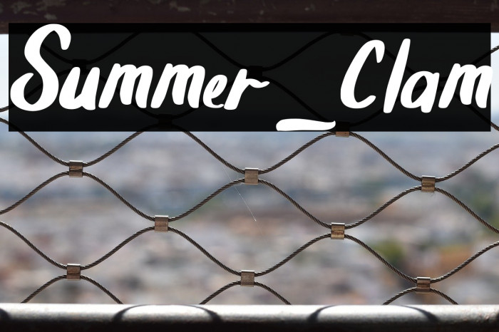 Summer_Clam Example 1