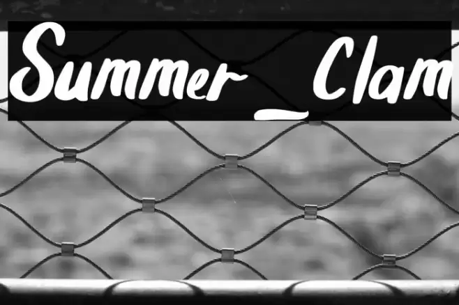 Summer_Clam Font examples