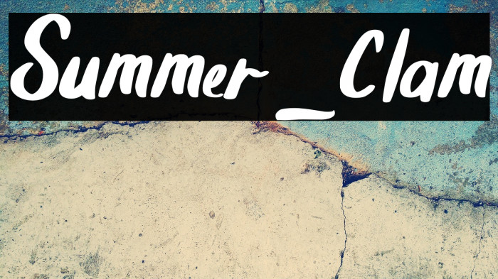 Summer_Clam Example 2