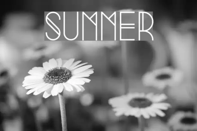 Summer Font examples