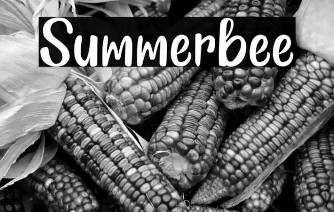 Summerbee Font examples