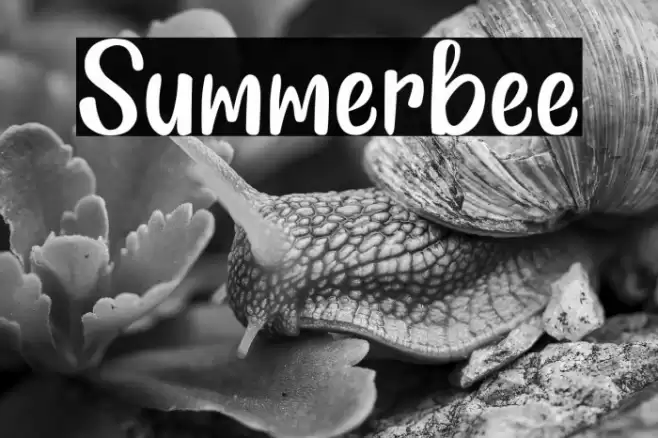 Summerbee Font examples
