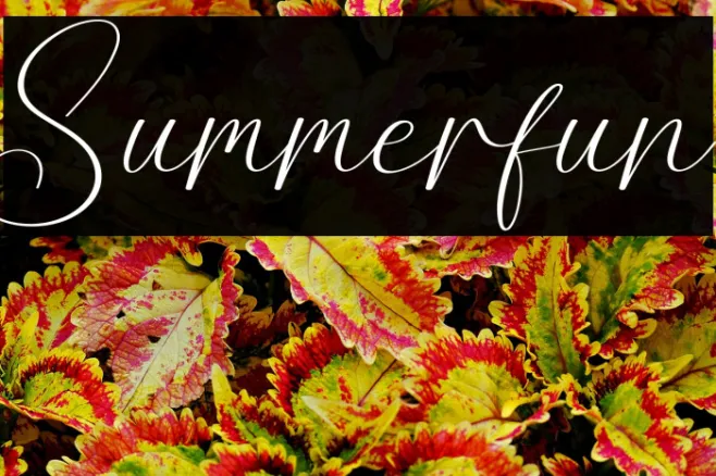 Summerfun Example 3