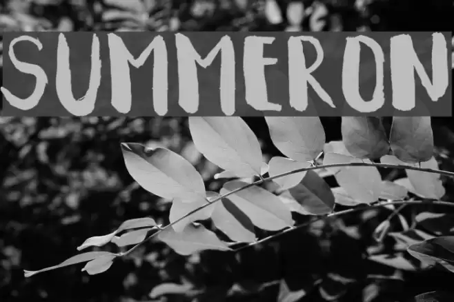 Summeron Font examples