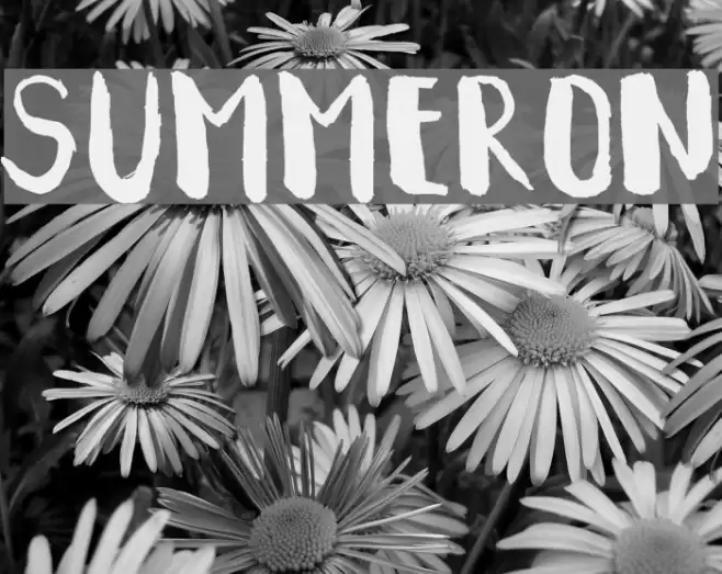 Summeron Font examples
