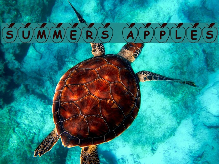Summers Apples Font examples