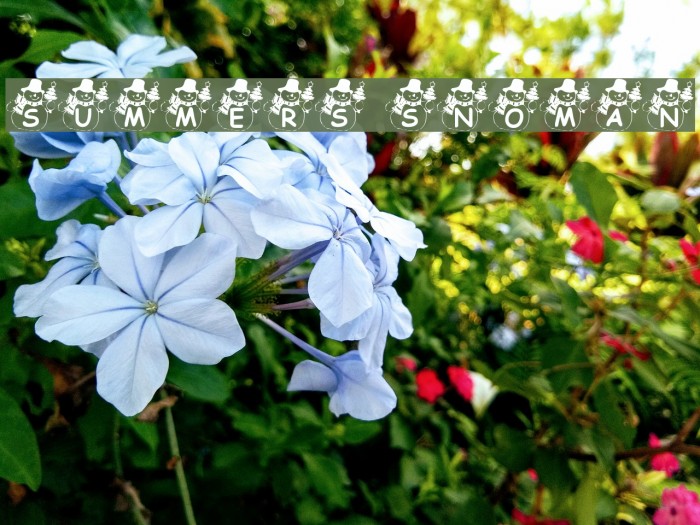 Summers Snowman Font examples