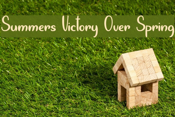 Summers Victory Over Spring Font examples
